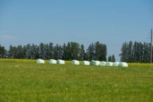 silage plastic collection 2023